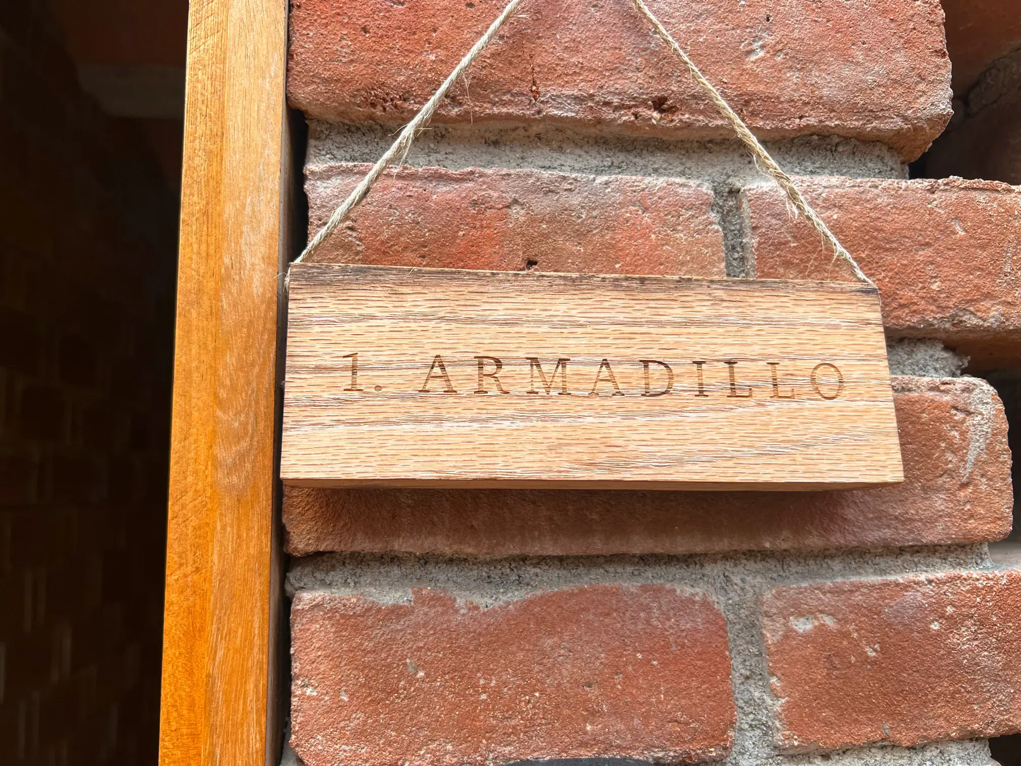 Armadillo at Casa Xaviera