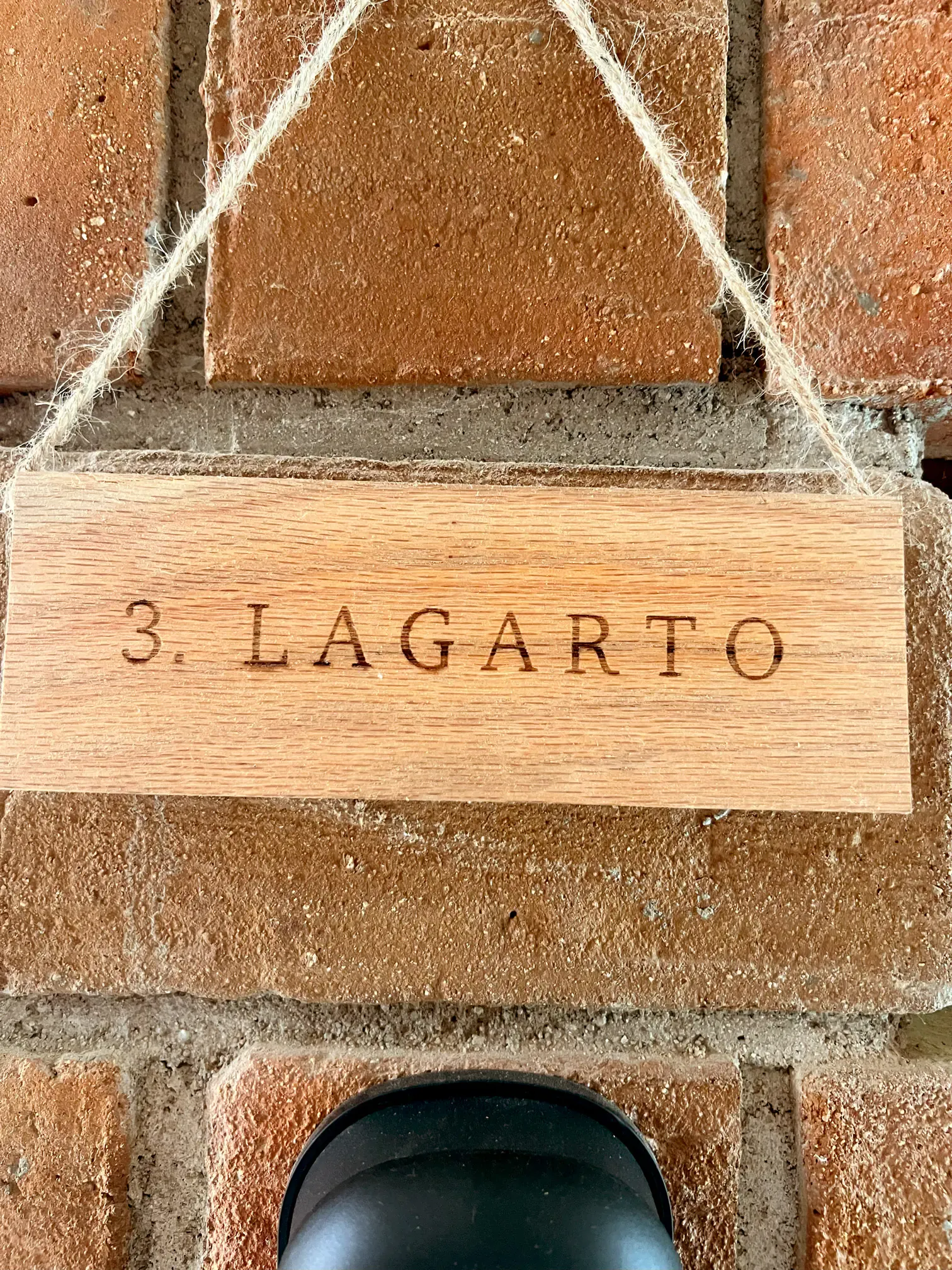 Lagarto en Casa Xaviera